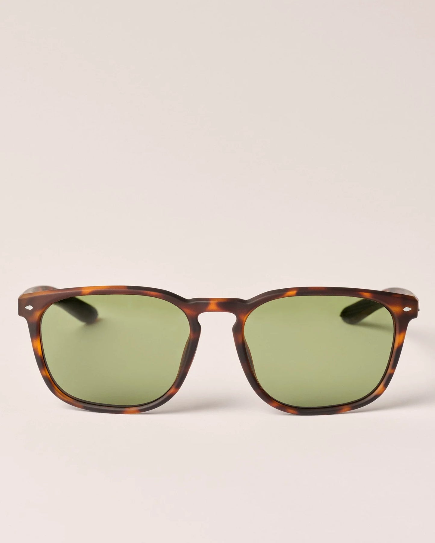 Malibu Sunglasses - Tortoise