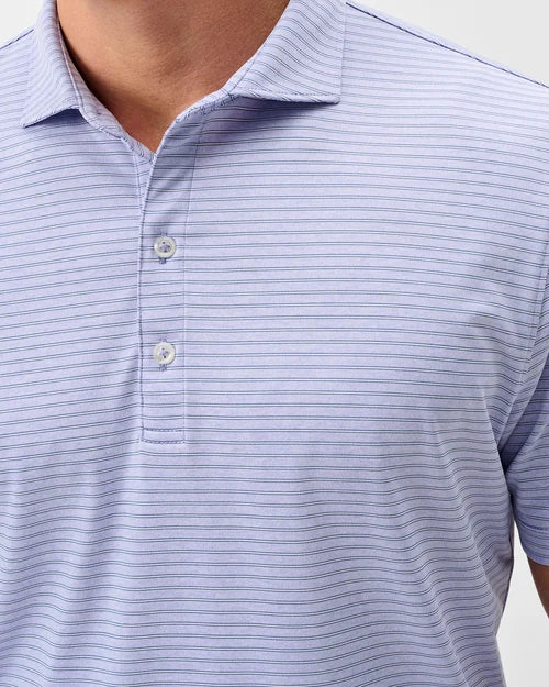 Michael Stripe Polo - Viola