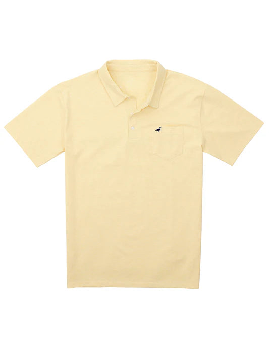 Harrison Polo - Sunburst