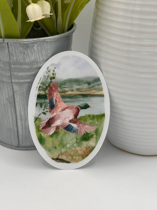 Realistic Mallard Sticker