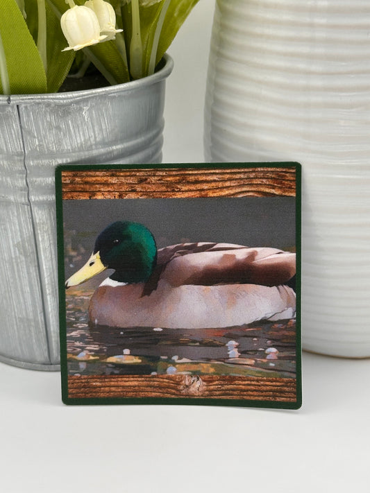 Mallard Sticker - Brown and Green