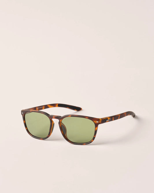 Malibu Sunglasses - Tortoise