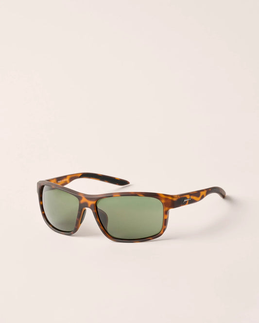 Cypress Polarized Sunglasses - Tortoise